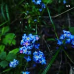 @freddy_birdyy_ - Instagram
