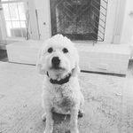 Freddy Boone - @freddyj8383 - Instagram