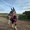 Freddie bowman - @denzel.417 - TikTok
