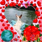 Freddy Brewer - Facebook
