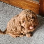 Freddie Bruce - @freddie.bruce.10 - Instagram