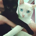 Freddy • Bruce - @freddyebruce - Instagram