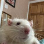 Freddy Burch - @freddyburch34 - Instagram