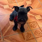 Freddy Ferreyra Calles - @freddyferreyra12 - Instagram