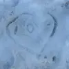freddycalles3 - @freddy.calles1 - TikTok