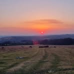 Freddie Carpenter - Facebook