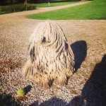 Freddy Carpenter - @nestginsretrab86 - Instagram