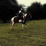freddy carrillo - @freddy.carrillo.351104 - Instagram