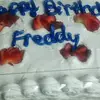 freddycavitt - @freddycavitt - TikTok