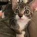 Freddy Chang - Facebook