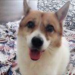 Freddy Choi - @freddy_choi - Instagram