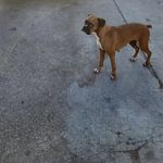 freddy R. - @freddychulo05 - Instagram
