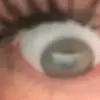 Freddie Clements - @freddie.clements - TikTok