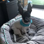 Freddy_Cole - @freddy_cole_ - Instagram