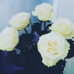 Freddy_Cook - @freddy_cook - Instagram