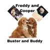 Follow if you love dogs 🐶 🤍 - @freddy.cooperxx - TikTok
