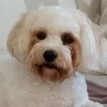 Fred Cooper - @freddycooper1952 - Instagram