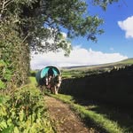 Freddy Cooper - @freddyjohn.cooper - Instagram