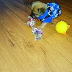 Freddy - @freddy.croger - Instagram