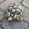 Freddie Cross - @freddie.cross1 - TikTok
