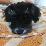 Freddy Cunningham - @freddy_bear_23 - Instagram