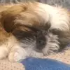 Freddy_Daniel - @freddy_daniel0 - TikTok