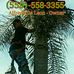 Freddy Deleon - Facebook