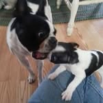 Fred Dickerson - @fdickerson60 - Instagram