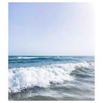 Fred Dickerson - @freddickerson9 - Instagram