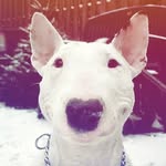 fred durst - @neurozoned - Instagram