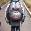 freddy durst - @assblaster7 - TikTok