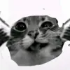 freddyfazdurst - @freddyfazdurst - TikTok