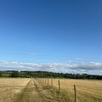 @freddyellis_ - Instagram