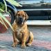 Fredy Ernest - Facebook