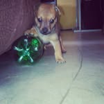 Freddy Estrella H - @freddyestrellah - Instagram