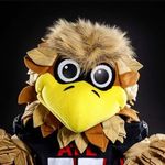 Freddie Falcon - @freddie.falcon - Instagram
