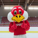 Freddy Falcon - @uwrffreddyfalcon - Instagram