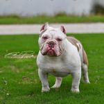 Freddy Falcon - @freddy_falcon_ - Instagram