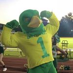 Freddy Falcon - @freddy_falcon_sses - Instagram