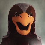 Freddy Falcon - @fssfreddy - Instagram
