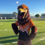 Freddy the Falcon - @freddy_the_falcon1 - Instagram