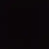 freddyfalconer - @freddyfalconer - TikTok