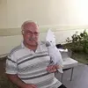 Fred Farah - @fred.farah7 - TikTok