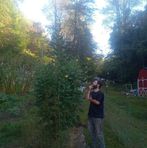 Freddy Farmer - Facebook