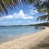 freddyfarmer53 - @freddyfarmer53 - TikTok