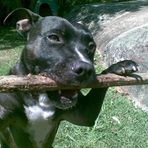 Freddy Fleming - Facebook