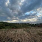Freddy Fletcher - @freddy.fletcher.12 - Instagram