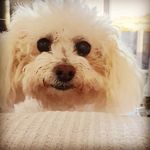 Freddy Fletcher - @freddyandfriends1 - Instagram