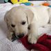 Freddy Fletcher - Facebook