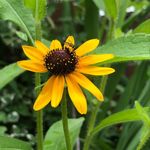 13. - @freddyflowers.13 - Instagram
